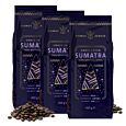 Domus Barista Single Origin Sumatra